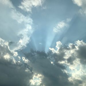 Meet your Posher, Tonya